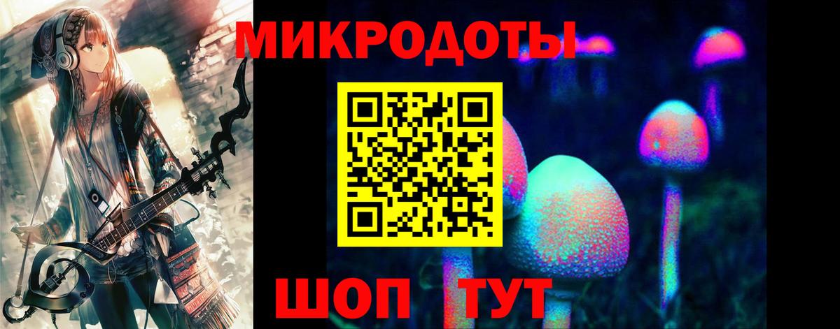 Псилоцибиновые грибы Cubensis Лянтор